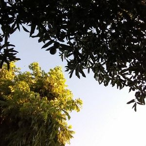 Meet your Posher, Alejandro